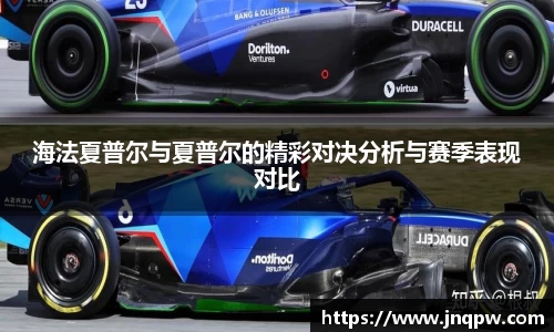 海法夏普尔与夏普尔的精彩对决分析与赛季表现对比